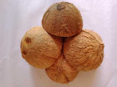 Coconut shell Halves Bowl Natural Eco Friendly