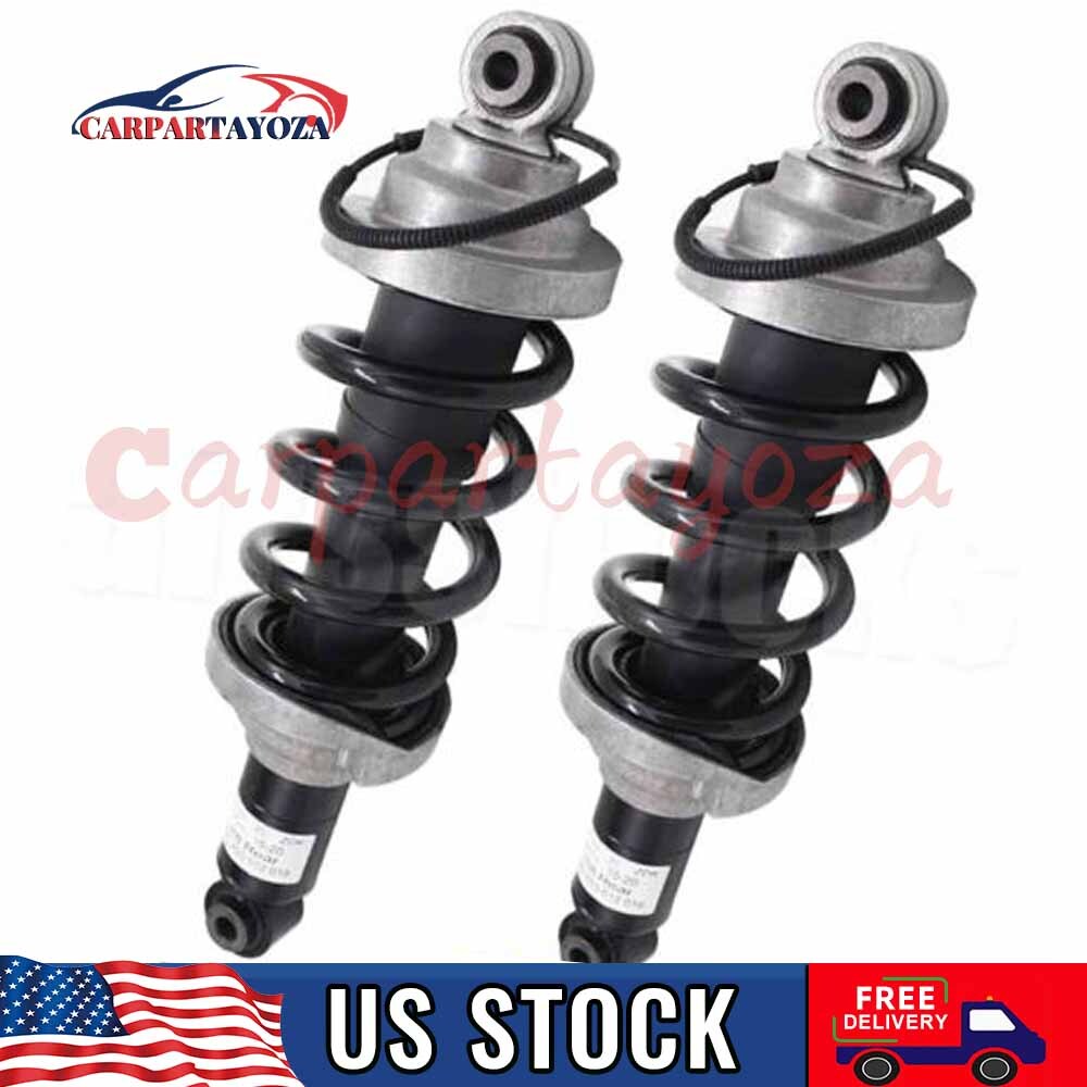 2x Rear Shock Absorber Struts Fit 15-21 Lamborghini Huracan V10 5.2L #4T0512019R