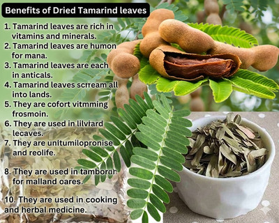 80g Dried Tamarind Organic Leaves 100% Pure Natural Free Shipping From Sri Lanka