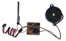 Arkai Adler-/Greifvogel Schrei - Modul