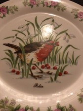BONE CHINA ENGLAND FLORAL ROBIN PICTURE PLATE COLLECTABLE