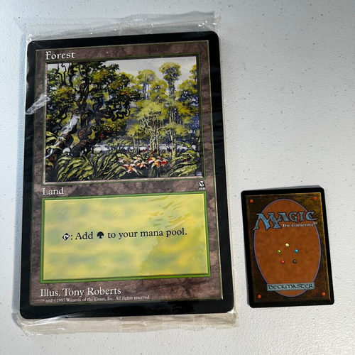 Carte promozionali MTG Magic The Gathering Forest 6x9 Arena (10) *Sigillate* NM - Foto 2 di 8