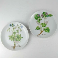 2 The Toscany Collection BOTANICAL 7.5" Plates Meadow Crane's Bill/Stream Violet