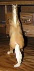 Bild 5 von 11