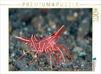 Calvendo Puzzle Dancing Shrimp | 1000 Pieces, Finished Size 25.2 × 18.9 In (64 ×