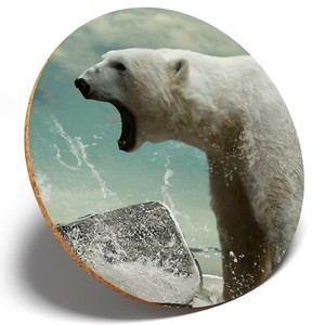 1 X Angry Polar Bear Print Round Coaster Kitchen Student Kids