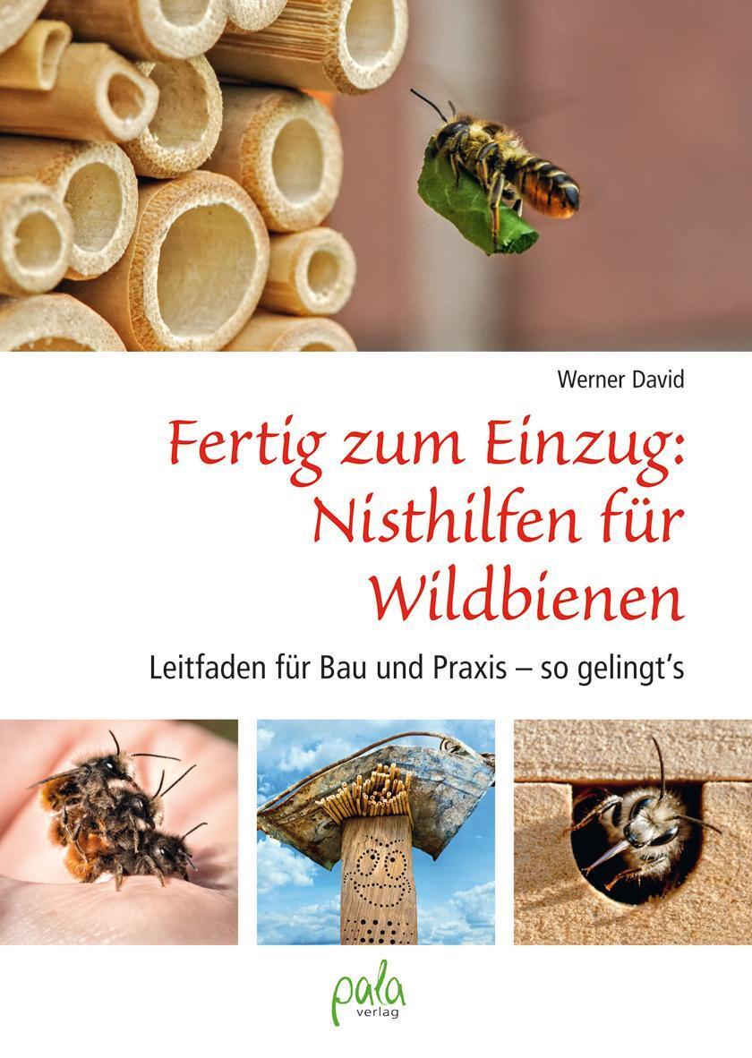 Fertig Zum Einzug: Nisthilfen Für Wildbienen, Werner David