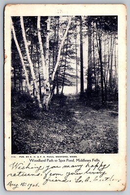 Woodland Path To Spot Pond Middlesex Fells Mass C1906 UDB Postcard P14