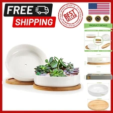 Classic 6-Inch Shallow Succulent Pots with Efficient Drainage - Elegant Duo