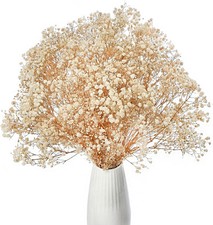 Dried Baby's Breath Flowers Bouquet, 17 inch Natural White