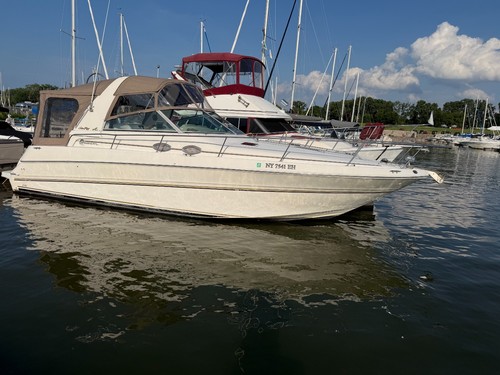 Sea Ray 310