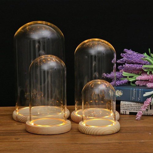 Espositore Vetro Cloche Campana Barattolo Cupola Conservazione Fiori Coperchio Base Legno - Foto 9 di 28