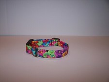 Wet Nose Designs Colorful Tropical Flower Brites Dog Collar on Black Floral