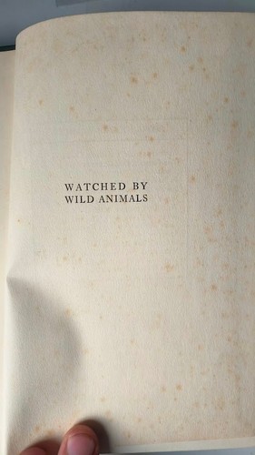 Rare 1st edition 1922 - Classic: Watched By Wild Animals by ENOS A MILLS - Picture 4 of 8
