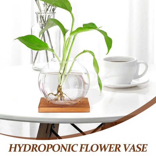 Home Glass Vase Hydroponic Tabletop Arrangement Plant Starter Vases - Imagen 5 de 12