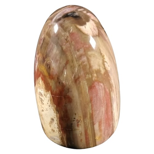 Fósil de madera petrificada natural de Madagascar espécimen independiente pulido (103) - Imagen 2 de 7