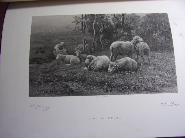 Picture 3 of 12