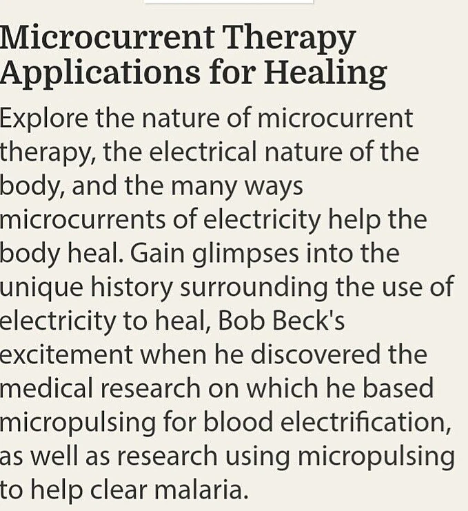 Zapper Bob Beck Zapper, purificador de sangre. - Hecho en Panamá Foto 4 de 4