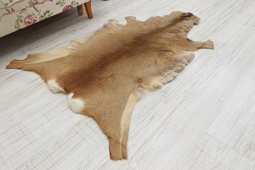 Natural Bronze Roe Deer Carpet Taxidermy Real Deer Rug Hunting Trophy Room Decor - Picture 9 of 10
