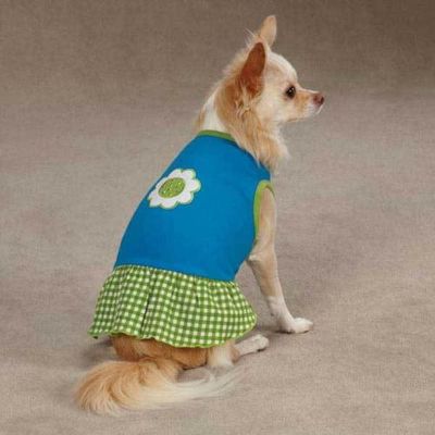 Dog Cat Apparel Clothes East Side Collection Gingham