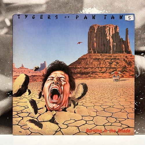 TYGERS OF PAN TANG – BURNING IN THE SHADE LP EX-/EX 1987 UK 1st ZEBRA ZEB 10 - Foto 1 di 2