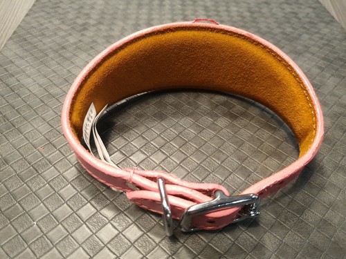 LEATHER WHIPPET DOG COLLAR SUEDE BACKING PADDED 12-14 INCH SAMPLE A47 - Picture 3 of 8