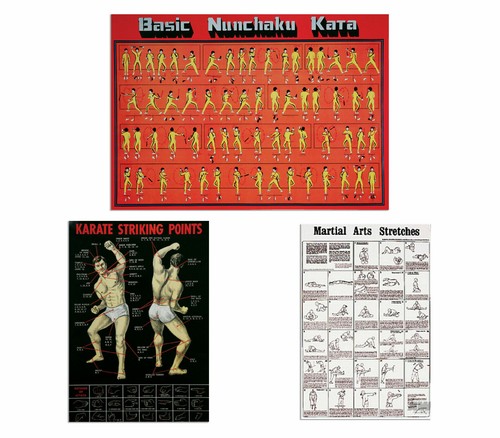 Martial Arts Posters, Karate Striking Basic Nunchaku Kata Stretches Poster - Picture 5 of 5