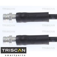 2X Bremsschlauch Triscan 815029234 2 BremsschläUche Rechts Links Hinten