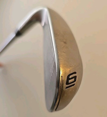Cobra BiO Cell 6 Iron TT Dynamic Gold Steel Shaft Golf Tungsten Weighted USED - Picture 6 of 13