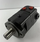 WF104-1024Y Hydraulic Orbital Motor 2-Bolt