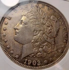 1903-P Morgan Silver Dollar MS61 Toning Beautiful Blues!  ANACS Fatty Eye Appeal
