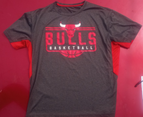 Chicago Bulls Men's Dri Fit Size Large Short T Shirt Comfortable - 第 1/2 張圖片