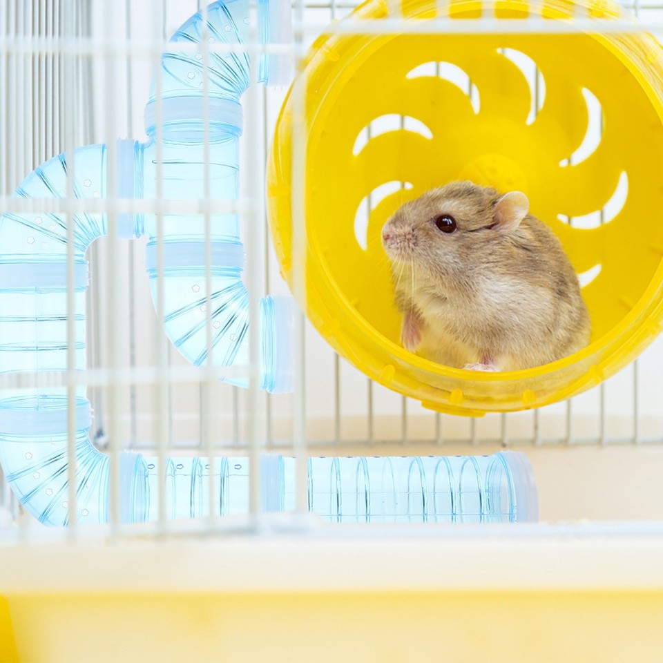 Visual Reference: Hamster Accessories DIY Maze Connector Pet Cage Playhouse Tunnel