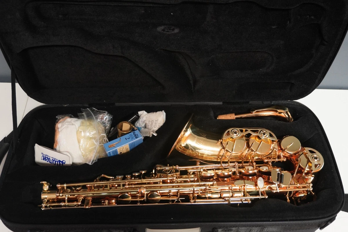 Selmer la sale vie alto saxophone