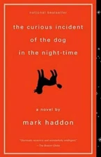 The Curious Incident of the Dog in the Night-Time - Paperback - VERY GOOD