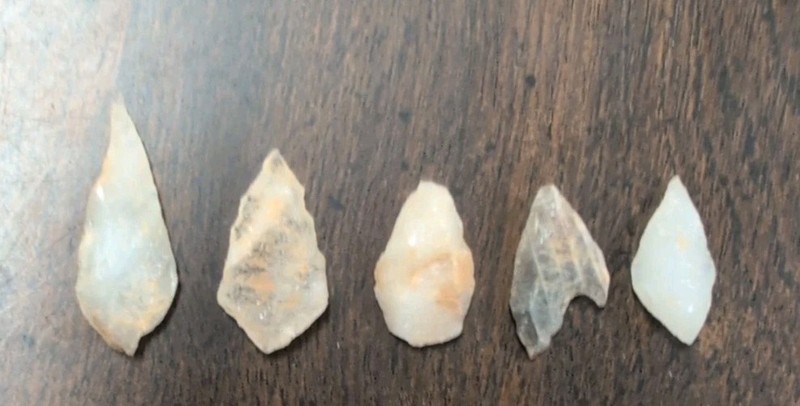 Authentic Lot (5) Sahara Neolithic Bird Point Arrowheads NW Africa Triangular #9