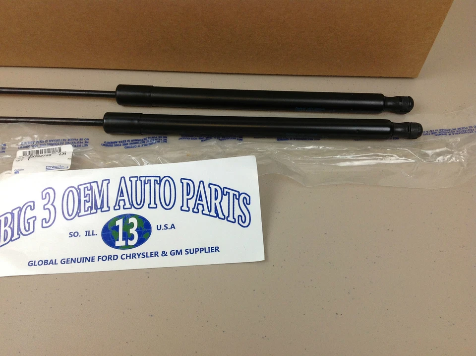 Puerta levadiza trasera derecha y izquierda GMC Acadia Saturn Outlook puntal de elevación/asistencia nuevo OEM Foto 3 de 3