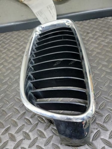 BMW 320i 2012-2018 (4 puertas) parrilla delantera del lado del conductor - Imagen 4 de 12