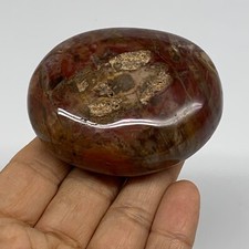 146.2g, 2.6"x2"x1.1" Natural Petrified Wood Freeform Palm Stone, B37461