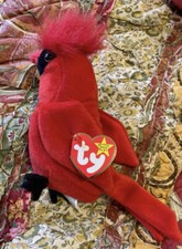 Mac The Cardinal TY Beanie Baby ALL ERRORS RARE COLLECTIBLE