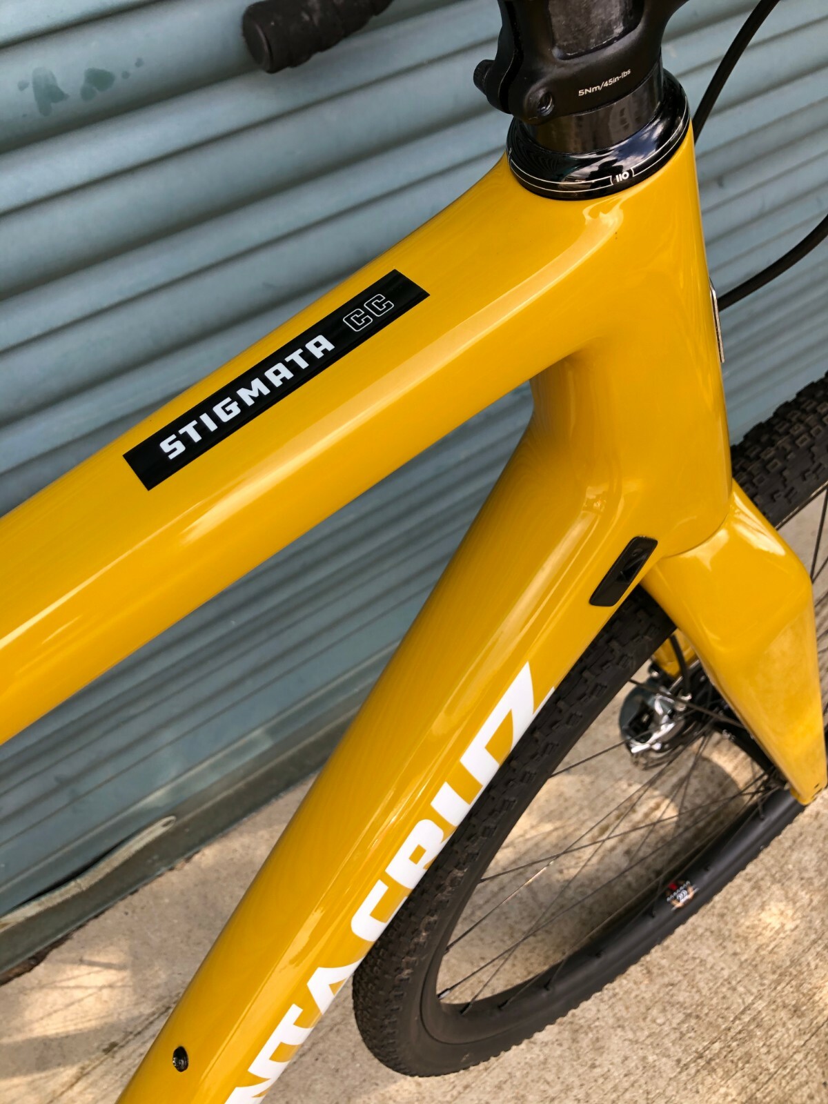 santa cruz stigmata ebay