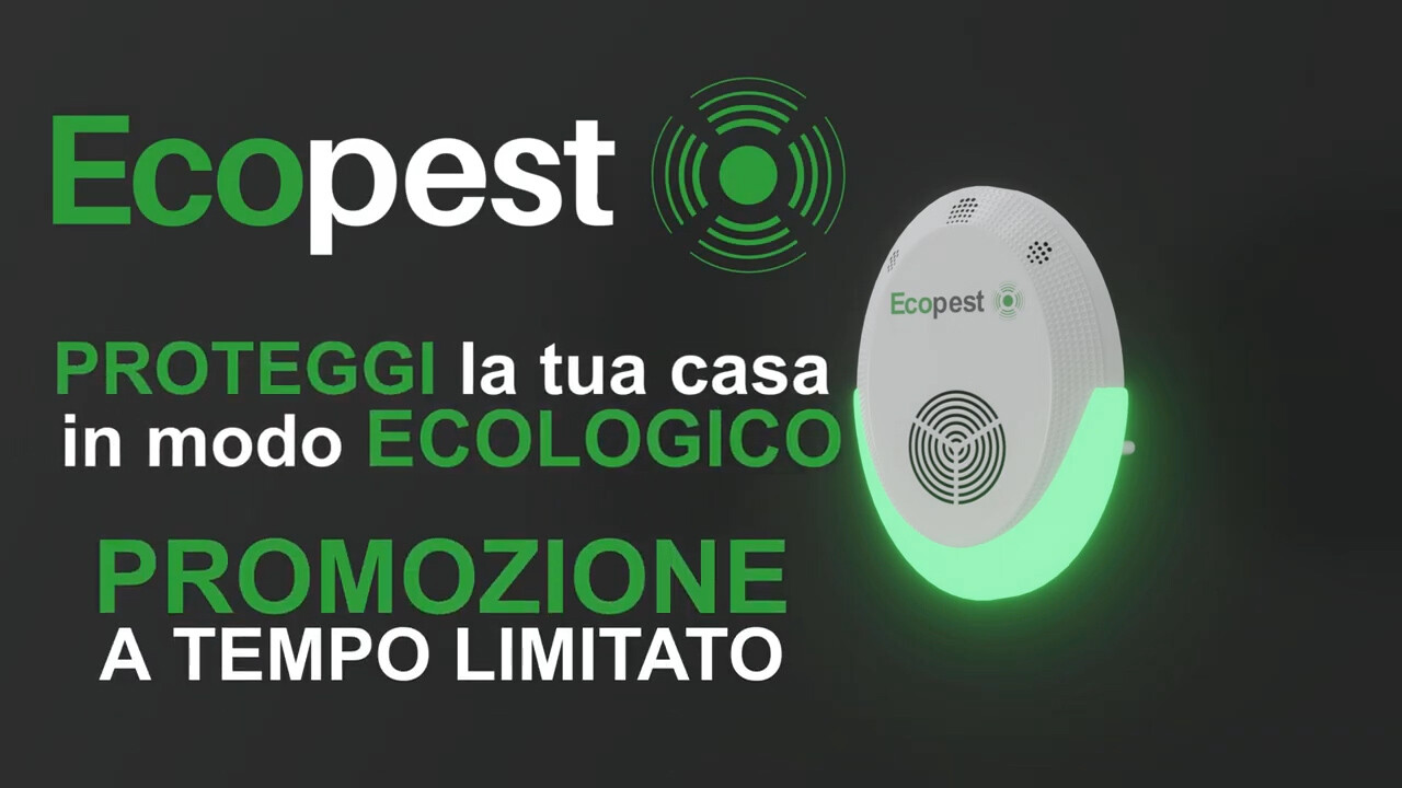 Foto 7 di 12