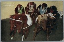 Postcard St Louis MO Monkies on Ponies Forest Park Zoo anthropomorphic 1942 