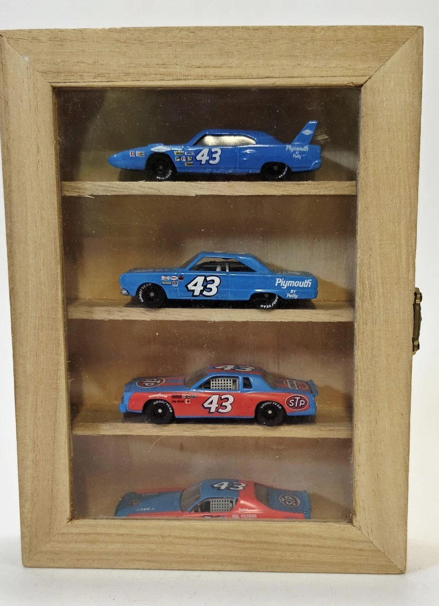 Hot Wheels Richard Petty Diecast Racing Cars for sale | eBay