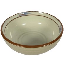 Noritake Raindance #8675 Stoneware Cereal Soup Bowl 6 1/2" Santa Fe Southwest