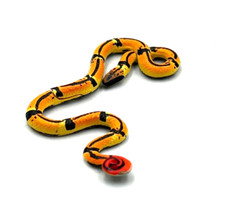Japan Kaiyodo Choco Q Coral Snake Miniature Animal Realistic Figure