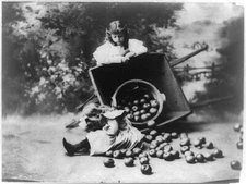 8" x 10"  1903 Photo In trouble 2 girls with upset wheelbarrow and spilled a