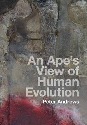 An Ape's View of Human Evolution by Peter Andrews - 9781107100671
