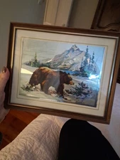 Fred Sweney 8x10 Color Etch Framed Print Black Bear