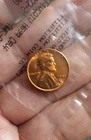 1955 S Lincoln Wheat 1 Cent Brilliant Uncirculated Penny Littleton Pack